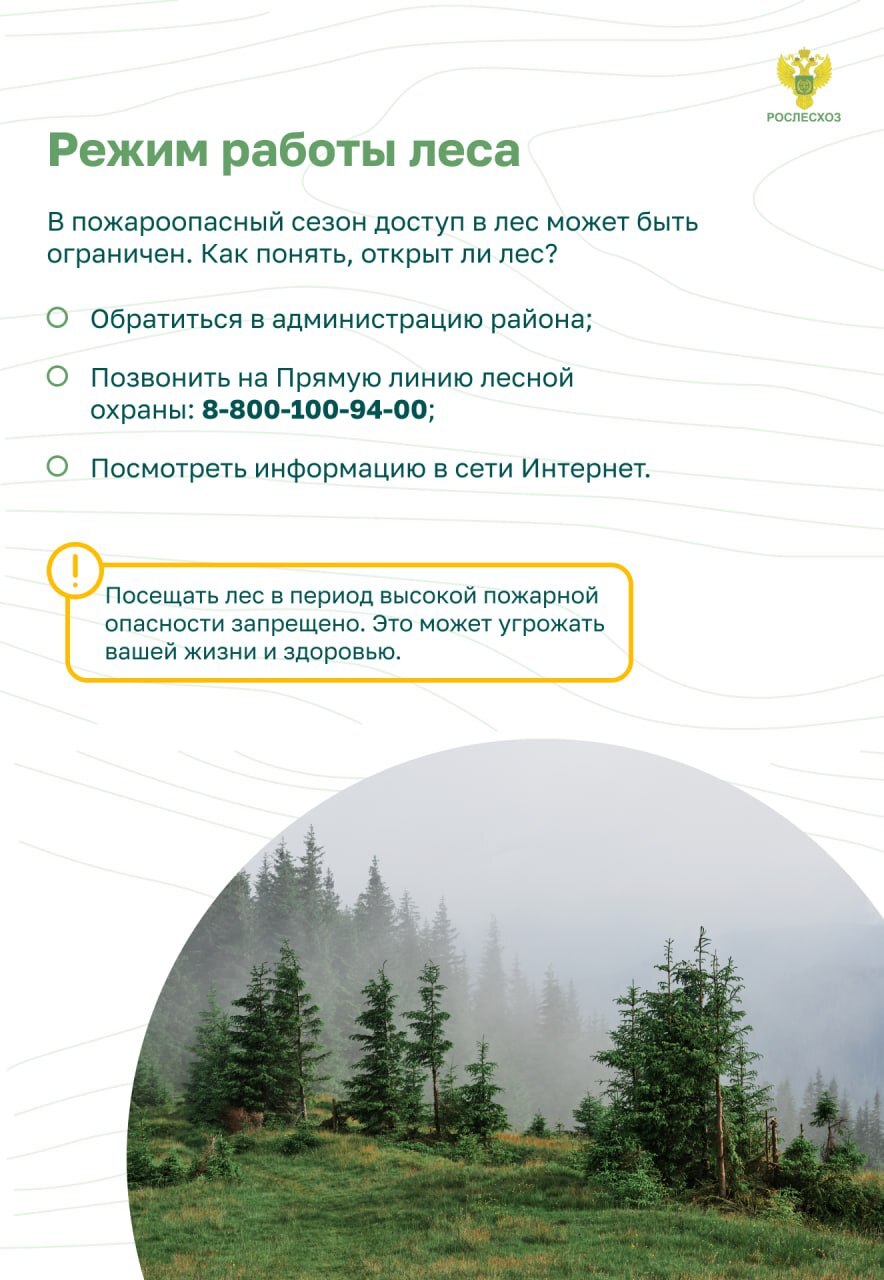 ПОЖАРЫ1.
