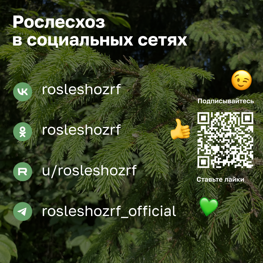 пожары2.