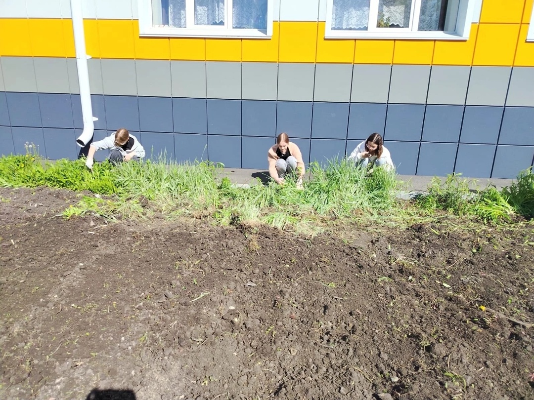 10 класс вышли на работу.